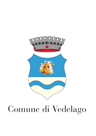 Comune Vedelago
